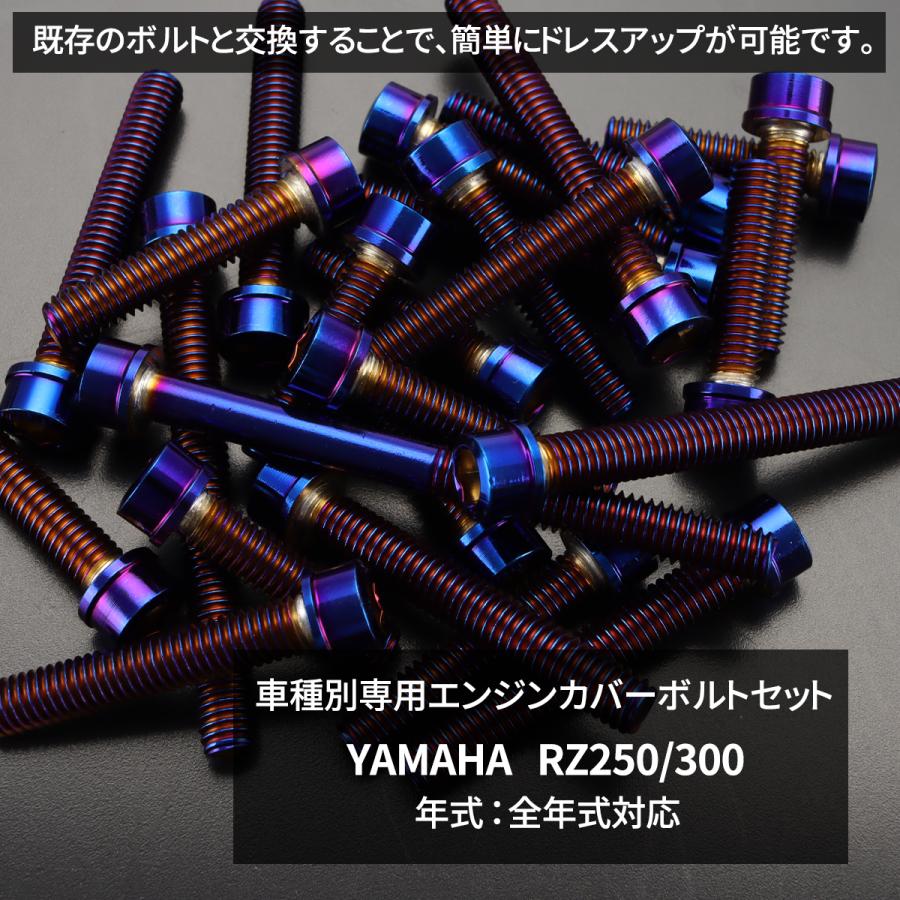 YAMAHA RZ250/350 エンジンカバー クランクケース ボルト 25本