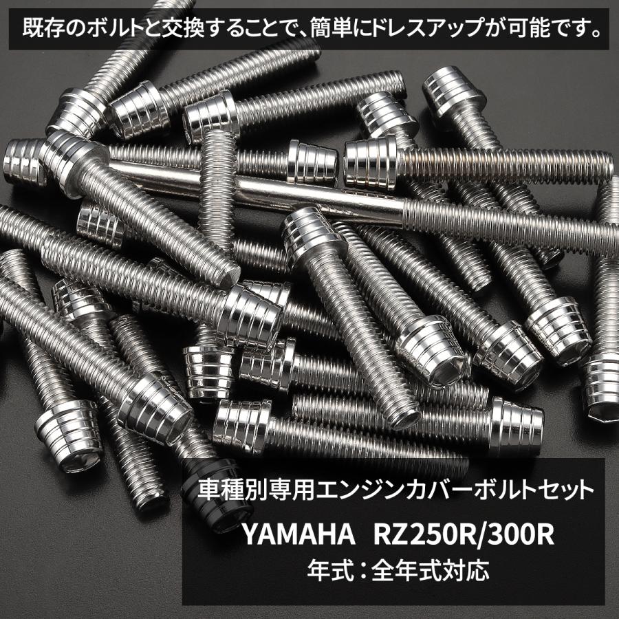 TECHーMASTER（テックマスター） RZ250R/350R エンジンカバー クランク