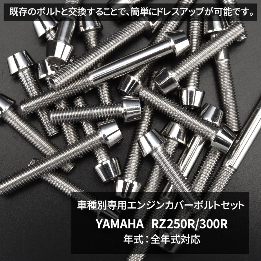 専用です。 カワサキ】「Ninja ZX-4R SE」「Ninja ZX-4RR」のカラー