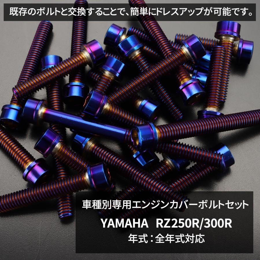 YAMAHA RZ250R/350R エンジンカバー クランクケース ボルト 22本