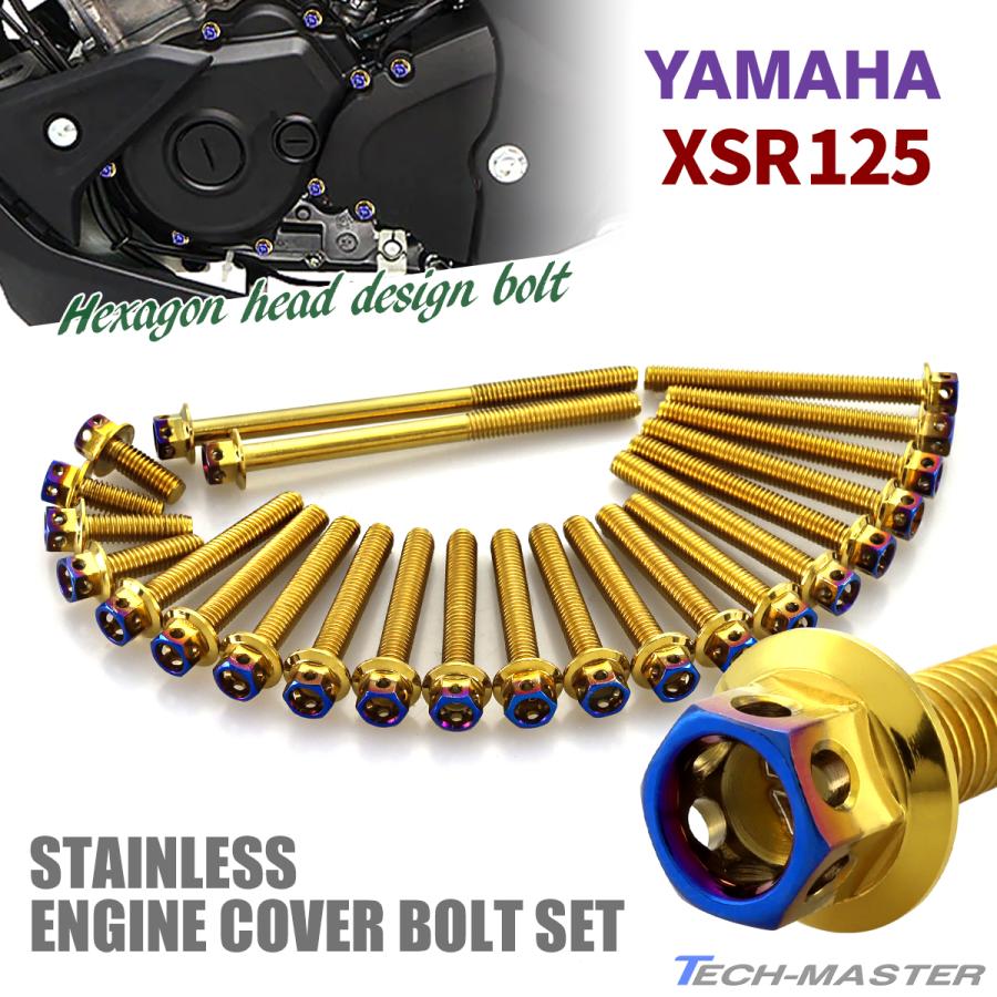 TECHーMASTER（テックマスター） XSR125 エンジンカバー クランク