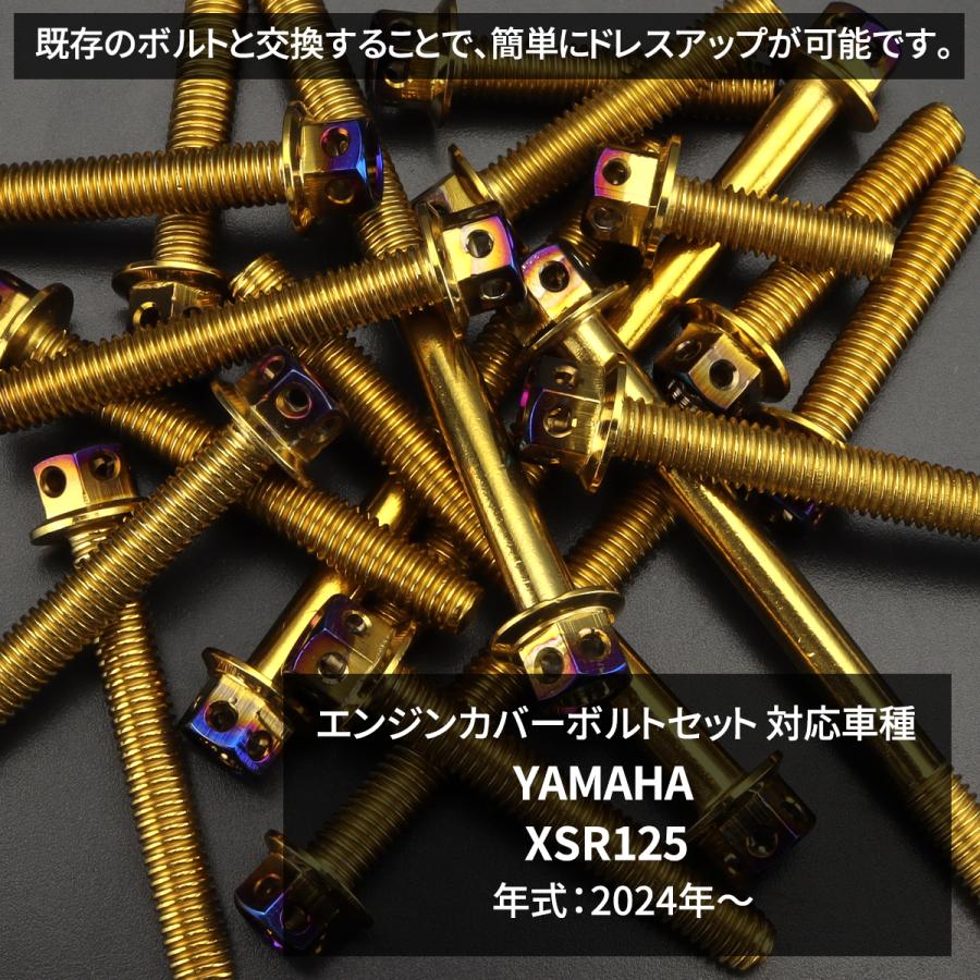 TECHーMASTER（テックマスター） XSR125 エンジンカバー クランク