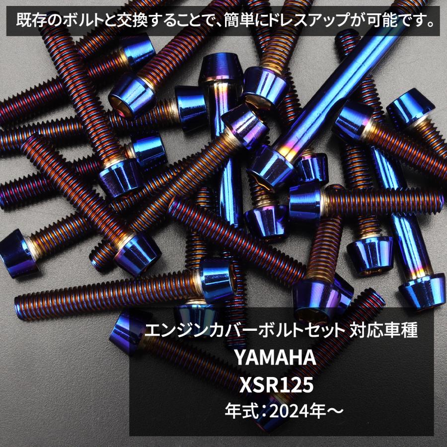 TECHーMASTER（テックマスター） XSR125 エンジンカバー クランク