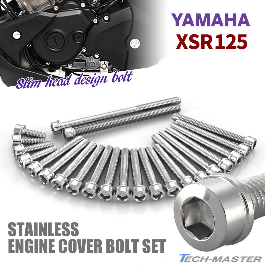 TECHーMASTER（テックマスター） XSR125 エンジンカバー クランク