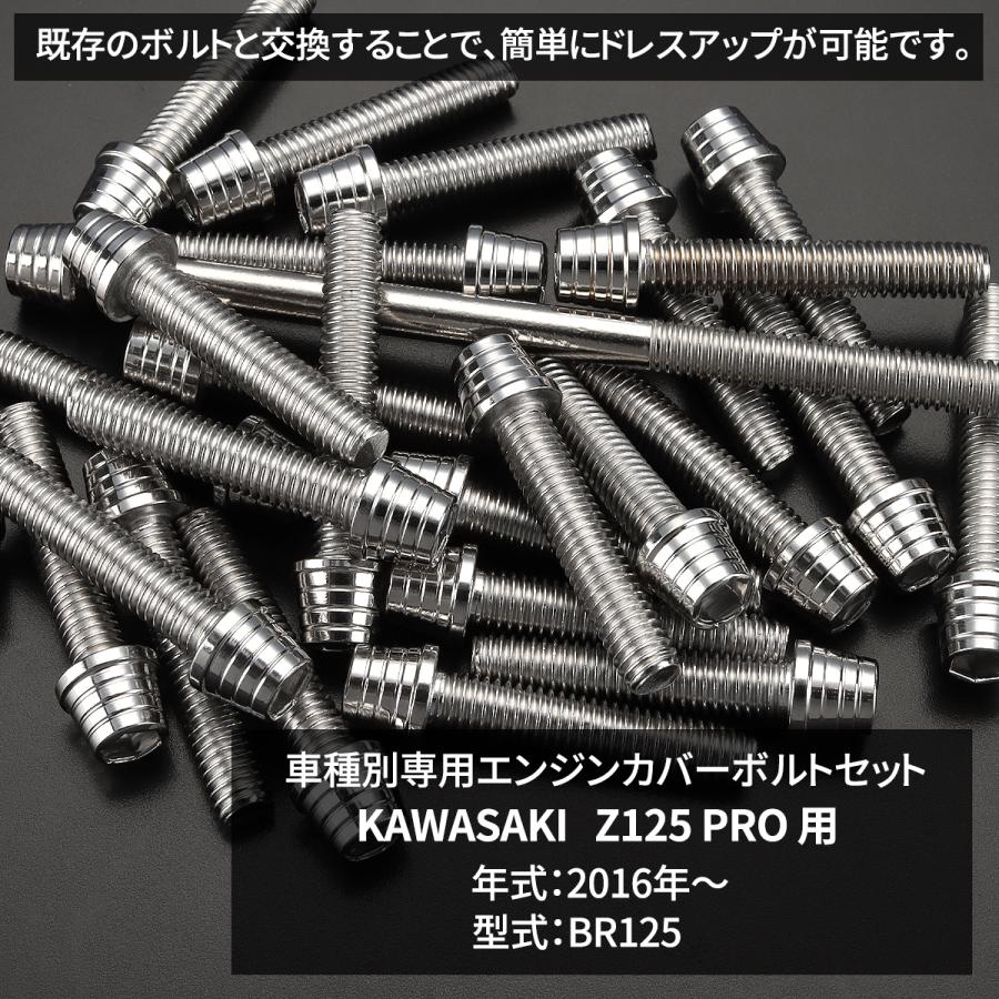 TECHーMASTER（テックマスター） Z125 PRO BR125 エンジンカバー