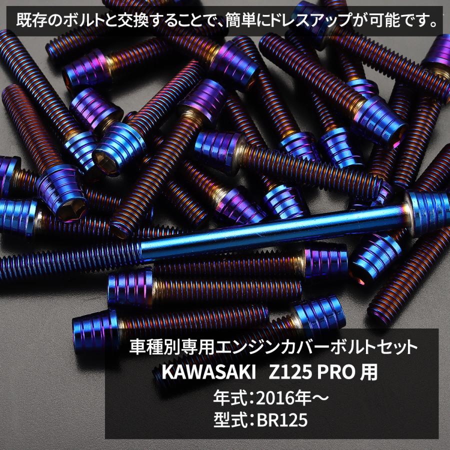 TECHーMASTER（テックマスター） Z125 PRO BR125 エンジンカバー