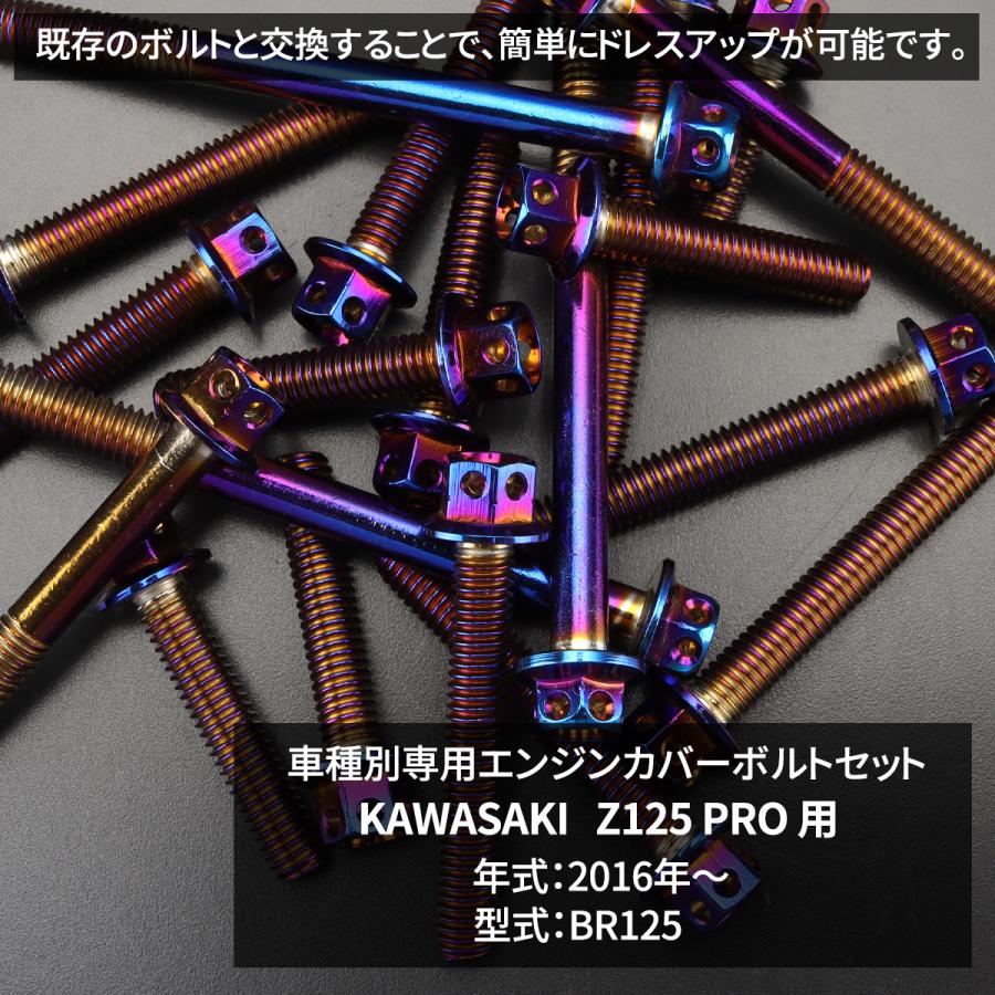 TECHーMASTER（テックマスター） Z125 PRO BR125 エンジンカバー
