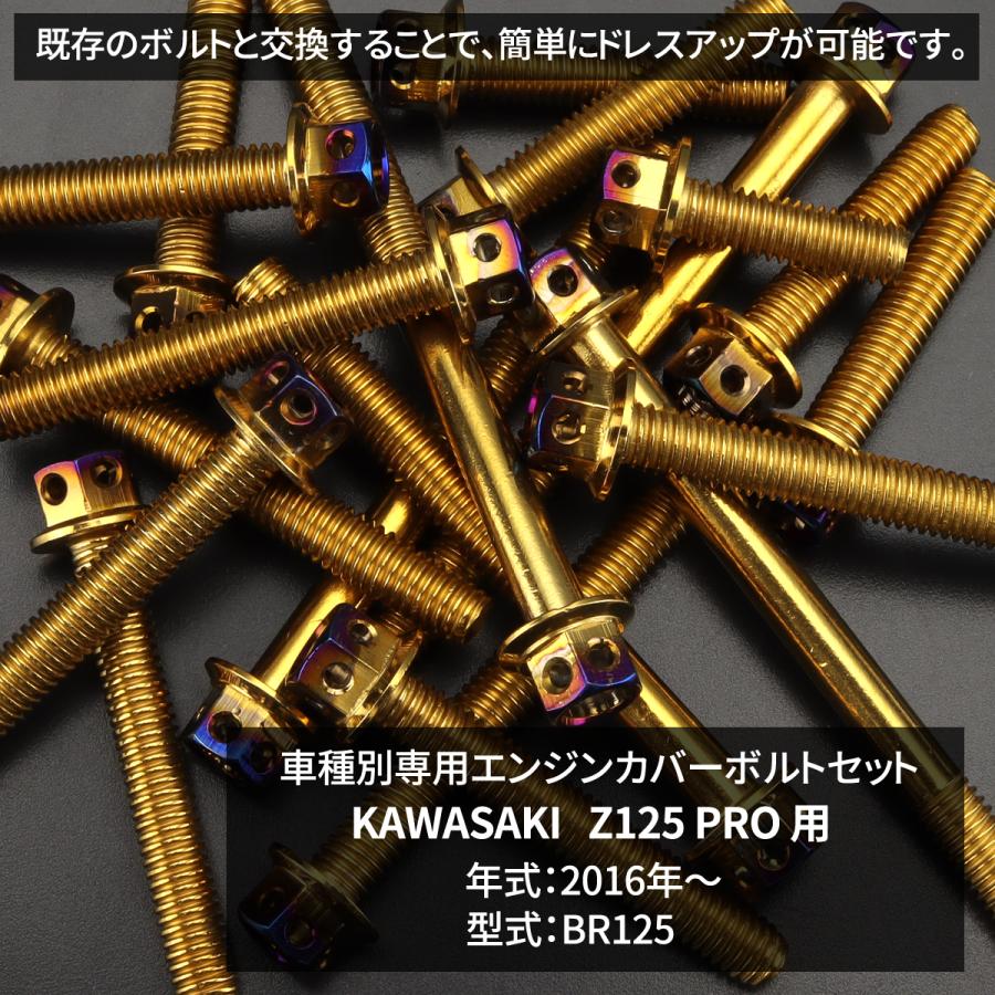 専用 TECHーMASTER（テックマスター） Z125 PRO BR125 エンジンカバー
