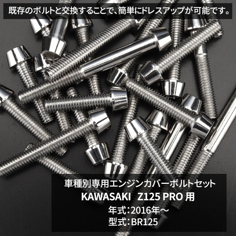専用 TECHーMASTER（テックマスター） Z125 PRO BR125 エンジンカバー