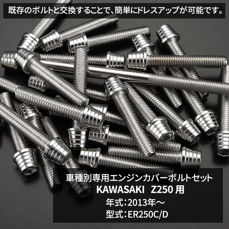 TECHーMASTER（テックマスター） Z250 ER250 2013年〜2017年 エンジン