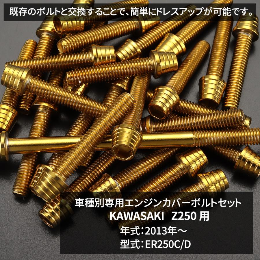 TECHーMASTER（テックマスター） Z250 ER250 2013年〜2017年 エンジン