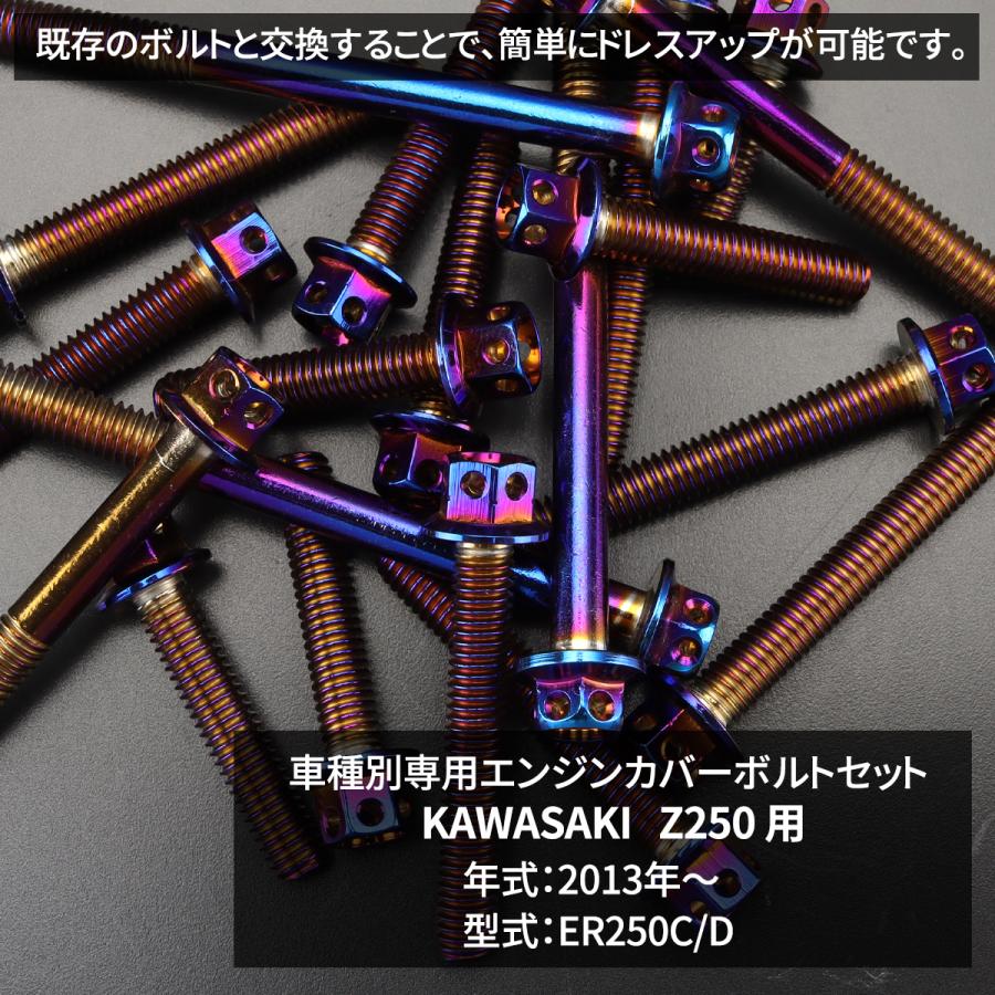 TECHーMASTER（テックマスター） Z250 ER250 2013年〜2017年 エンジン