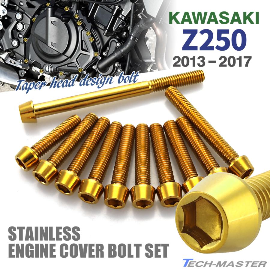TECHーMASTER Z250 ER250 2013年〜2017年 エンジンカバー クランク