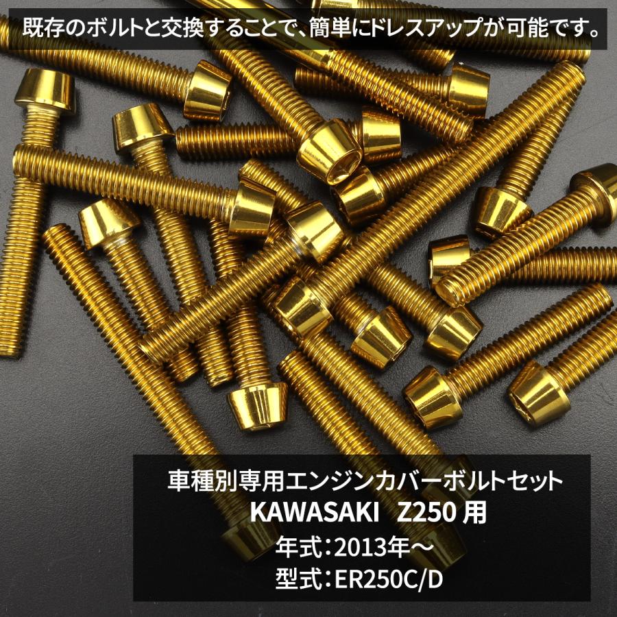 TECHーMASTER Z250 ER250 2013年〜2017年 エンジンカバー クランク