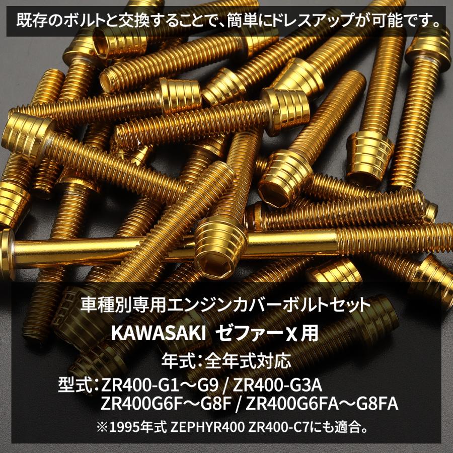 TECHーMASTER（テックマスター） ゼファーχ カイ エンジンカバー