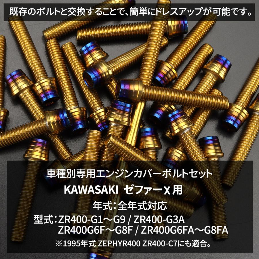 TECHーMASTER（テックマスター） ゼファーχ カイ エンジンカバー
