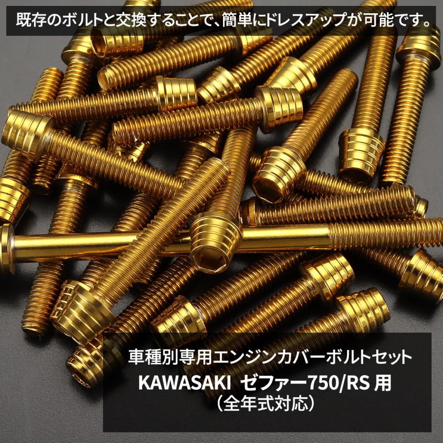 専用です＊＊＊＊ TECHーMASTER（テックマスター） ゼファー750 RS エンジンカバー