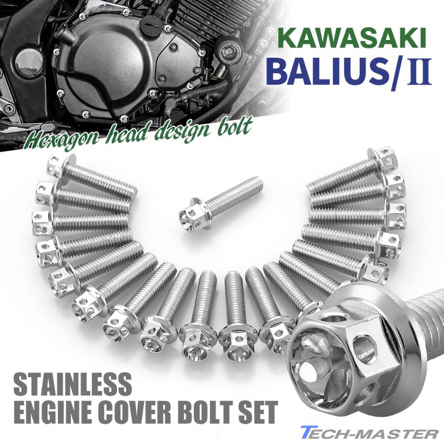 バリオス/II BALIUS エンジンカバー クランクケース ボルト 19本セット ステンレス製 カワサキ車用 シルバーカラー TB8229｜tmst