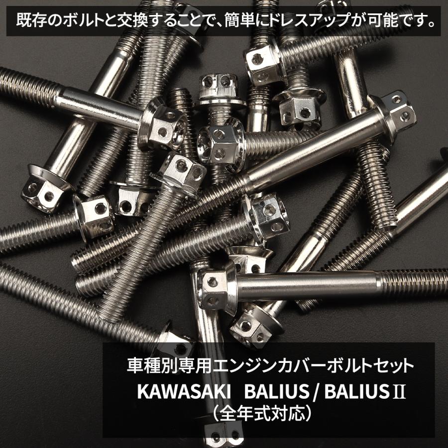 はるゆう カワサキ バリオス/II BALIUS エンジンカバー クランクケース