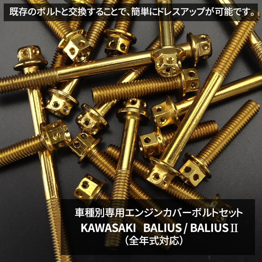 バリオス/II BALIUS エンジンカバー クランクケース ボルト 19本セット