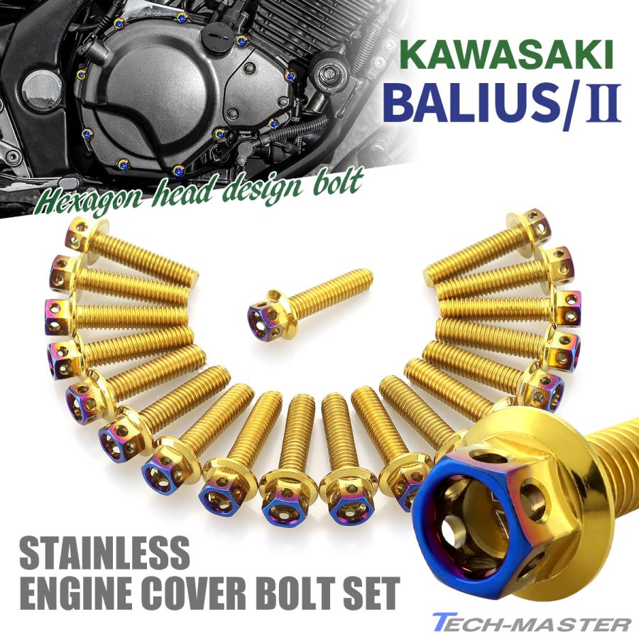 TECHーMASTER（テックマスター） バリオス/II BALIUS エンジンカバー