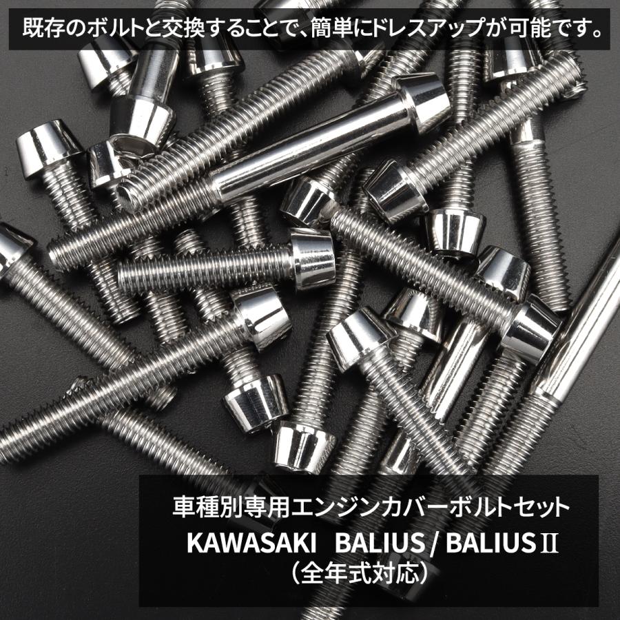 バリオス/II BALIUS エンジンカバー クランクケース ボルト 19本セット ステンレス製 カワサキ車用 シルバーカラー TB8238｜tmst｜02