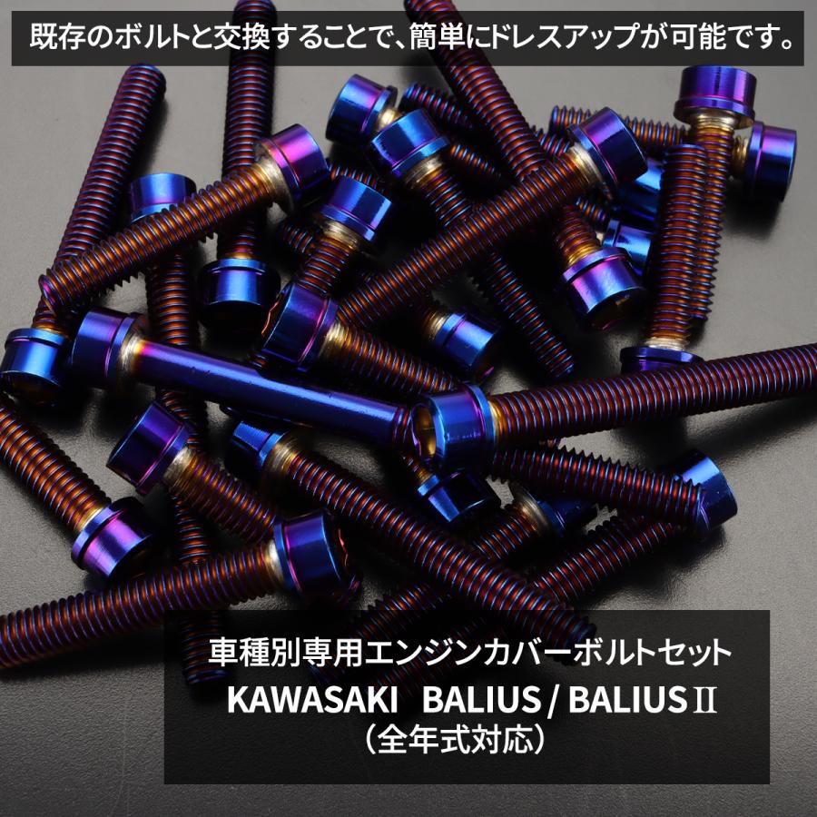 TECHーMASTER（テックマスター） バリオス/II BALIUS エンジンカバー