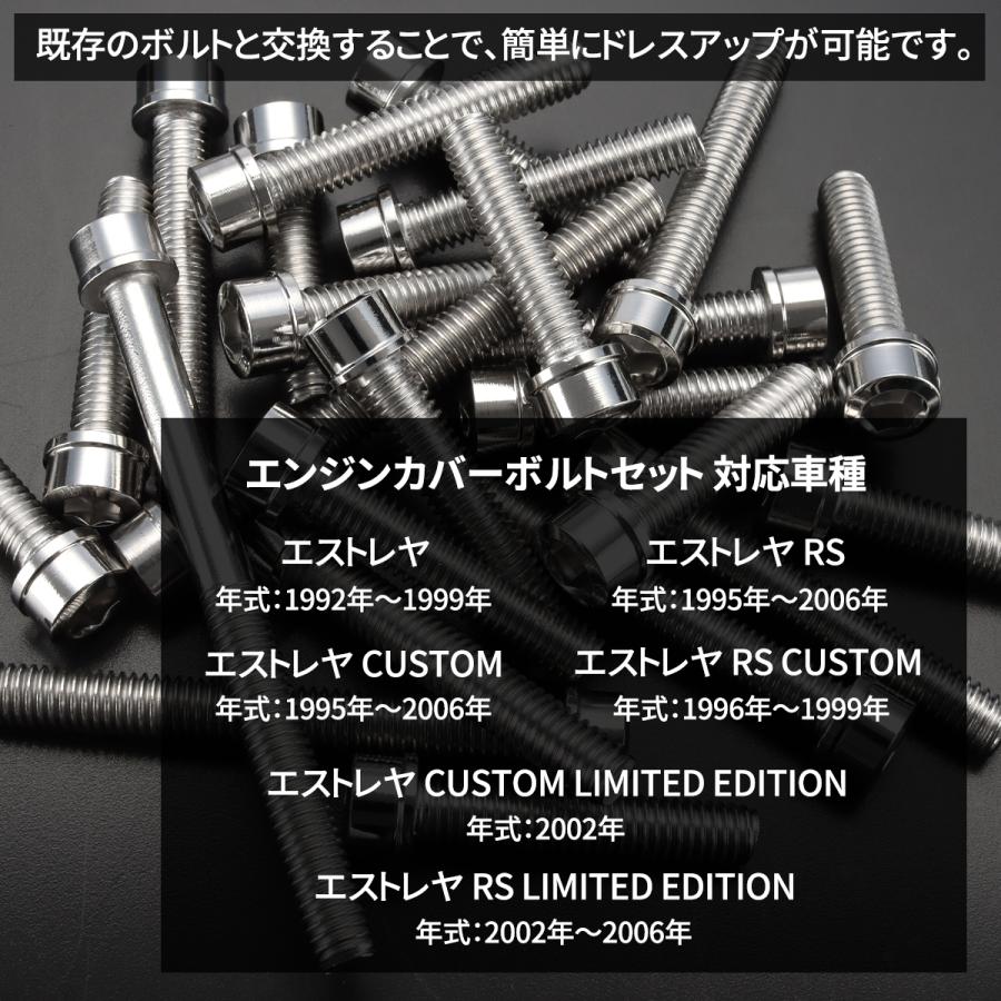 ネジご確認用 カワサキ エストレヤ RS CUSTOM等 エンジンカバー クランク