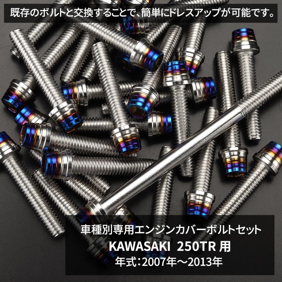 専用　Sサイズ カワサキ 250TR 2007年〜2013年 エンジンカバー クランクケース