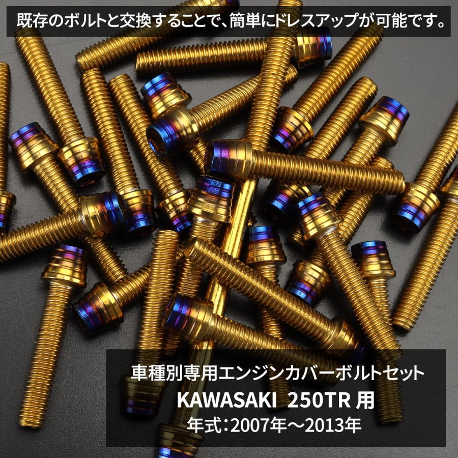 TECHーMASTER（テックマスター） 250TR 2007年〜2013年 エンジンカバー