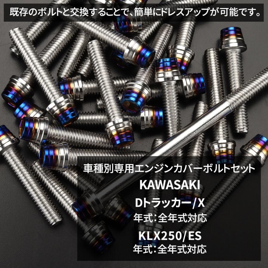 専用です！ カワサキ Dトラッカー/X KLX250/ES エンジンカバー クランク
