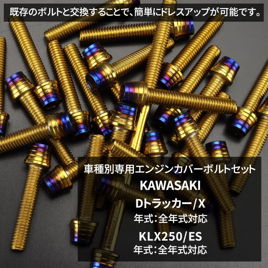 Dトラッカー/X KLX250/ES エンジンカバー クランクケース ボルト 35本セット ステンレス製 ゴールド×焼きチタンカラー TB8312 | TECHーMASTER | 01