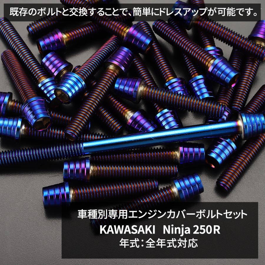 ニンジャ250R Ninja エンジンカバー クランクケース ボルト 21本セット ステンレス製 カワサキ車用 焼きチタンカラー TB8328 | TECHーMASTER | 01