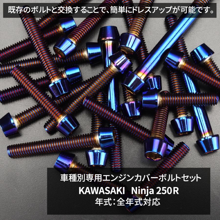 ニンジャ250R Ninja エンジンカバー クランクケース ボルト 21本セット ステンレス製 カワサキ車用 焼きチタンカラー TB8335 | TECHーMASTER | 01