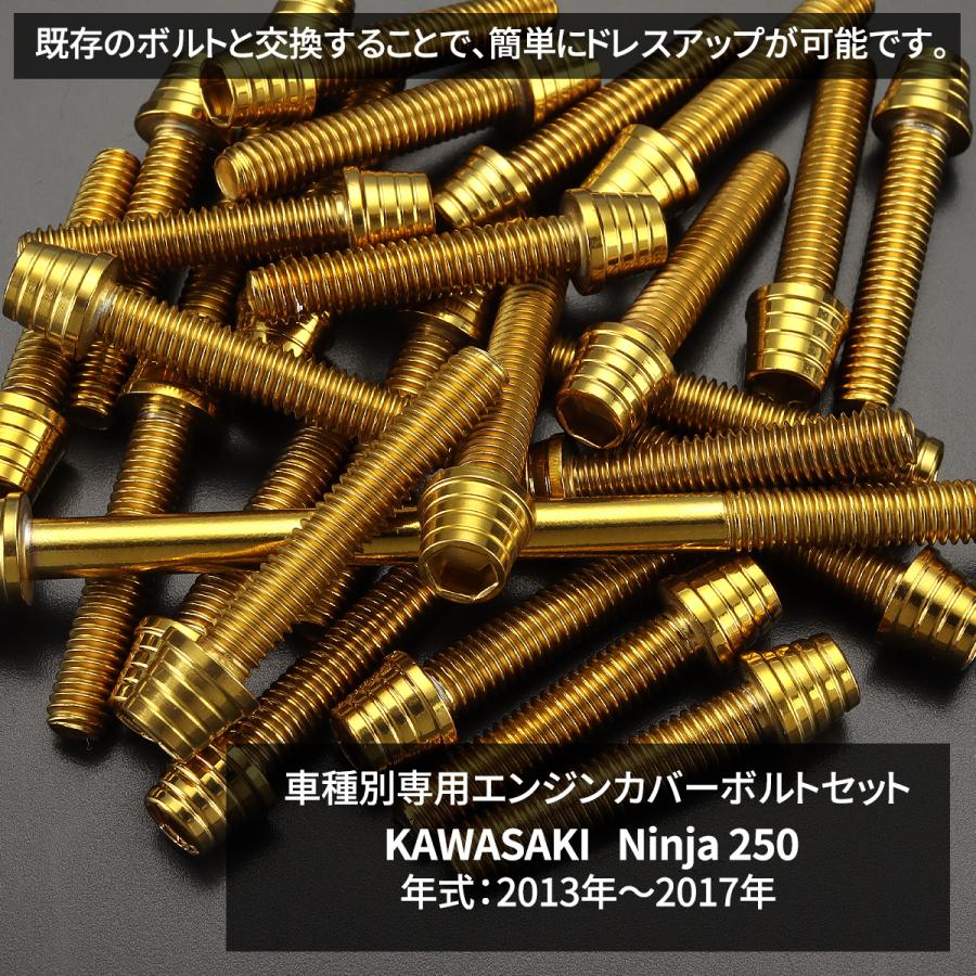 ニンジャ250 13年〜17年 Ninja エンジンカバー クランクケース ボルト 20本セット ステンレス製 カワサキ車用 ゴールドカラー TB8352 | TECHーMASTER | 01