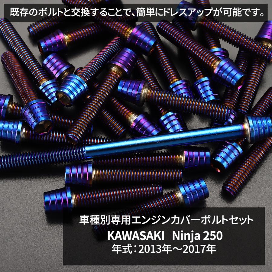 TECHーMASTER（テックマスター） ニンジャ250 13年〜17年 Ninja