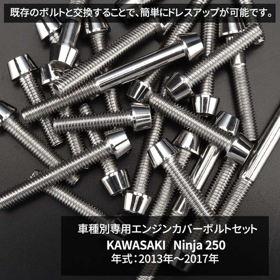 TECHーMASTER（テックマスター） ニンジャ250 13年〜17年 Ninja