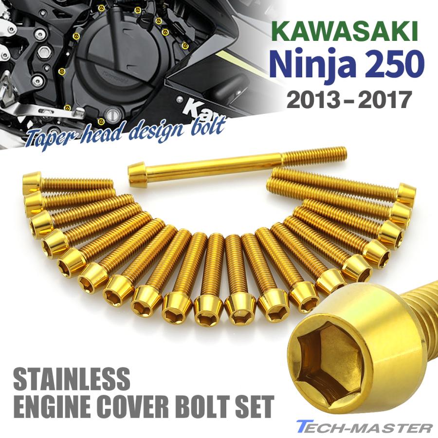 ニンジャ250 13年〜17年 Ninja エンジンカバー クランクケース ボルト 20本セット ステンレス製 カワサキ車用 ゴールドカラー TB8359 | TECHーMASTER
