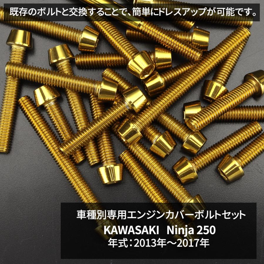 ニンジャ250 13年〜17年 Ninja エンジンカバー クランクケース ボルト 20本セット ステンレス製 カワサキ車用 ゴールドカラー TB8359 | TECHーMASTER | 01