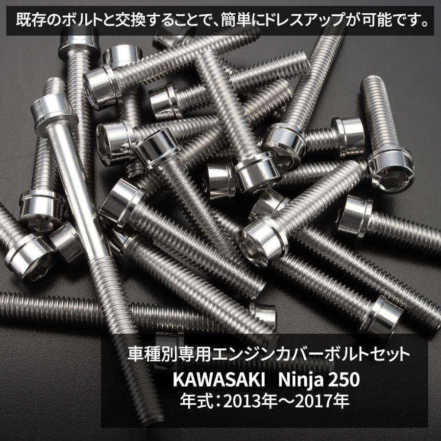 TECHーMASTER（テックマスター） ニンジャ250 13年〜17年 Ninja