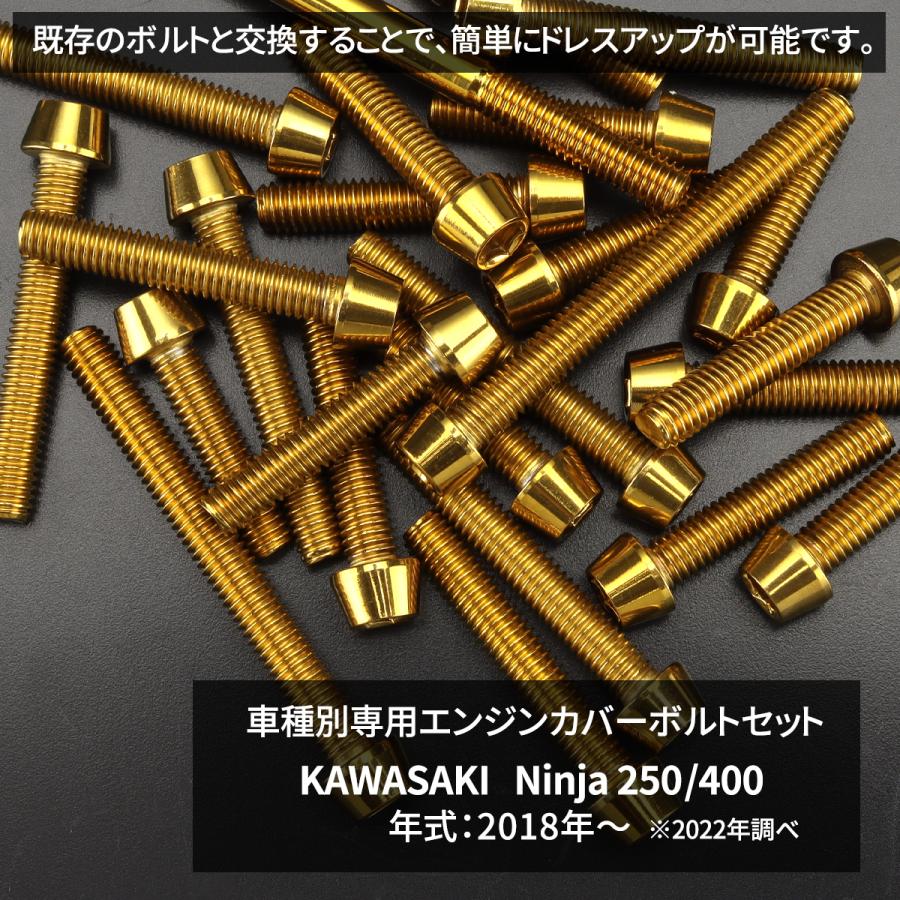 ニンジャ250/400 Ninja エンジンカバー クランクケース ボルト 28本セット ステンレス製 カワサキ車用 ゴールドカラー TB8384 | TECHーMASTER | 01