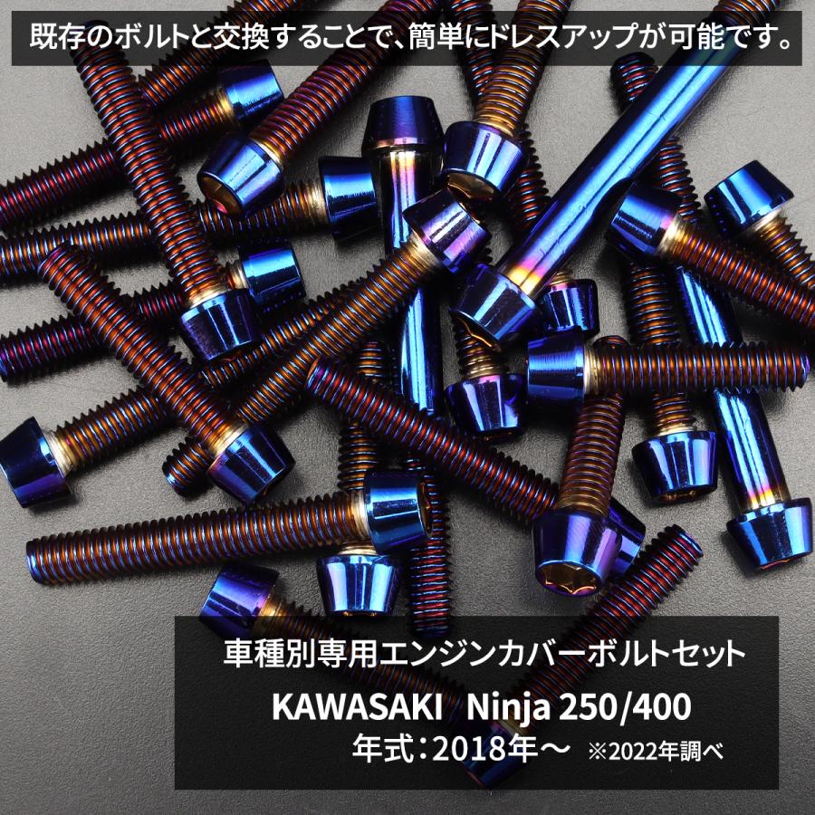 ニンジャ250/400 Ninja エンジンカバー クランクケース ボルト 28本セット ステンレス製 カワサキ車用 焼きチタンカラー TB8385 | TECHーMASTER | 01