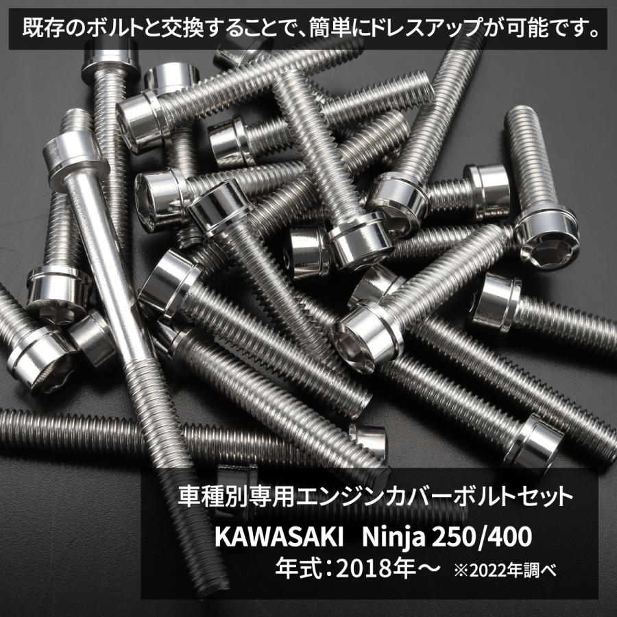 専用ページです カワサキ ニンジャ250/400 Ninja エンジンカバー クランクケース