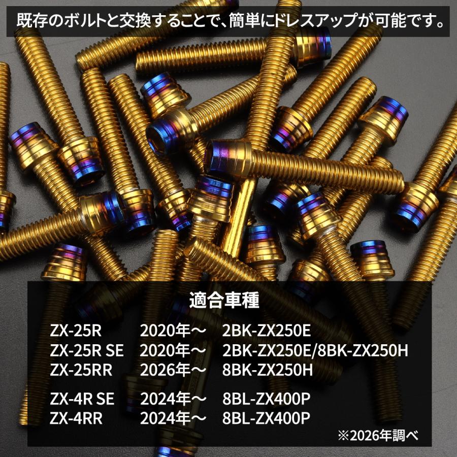 カワサキ ニンジャ ZX-25R/4R Ninja エンジンカバー クランク