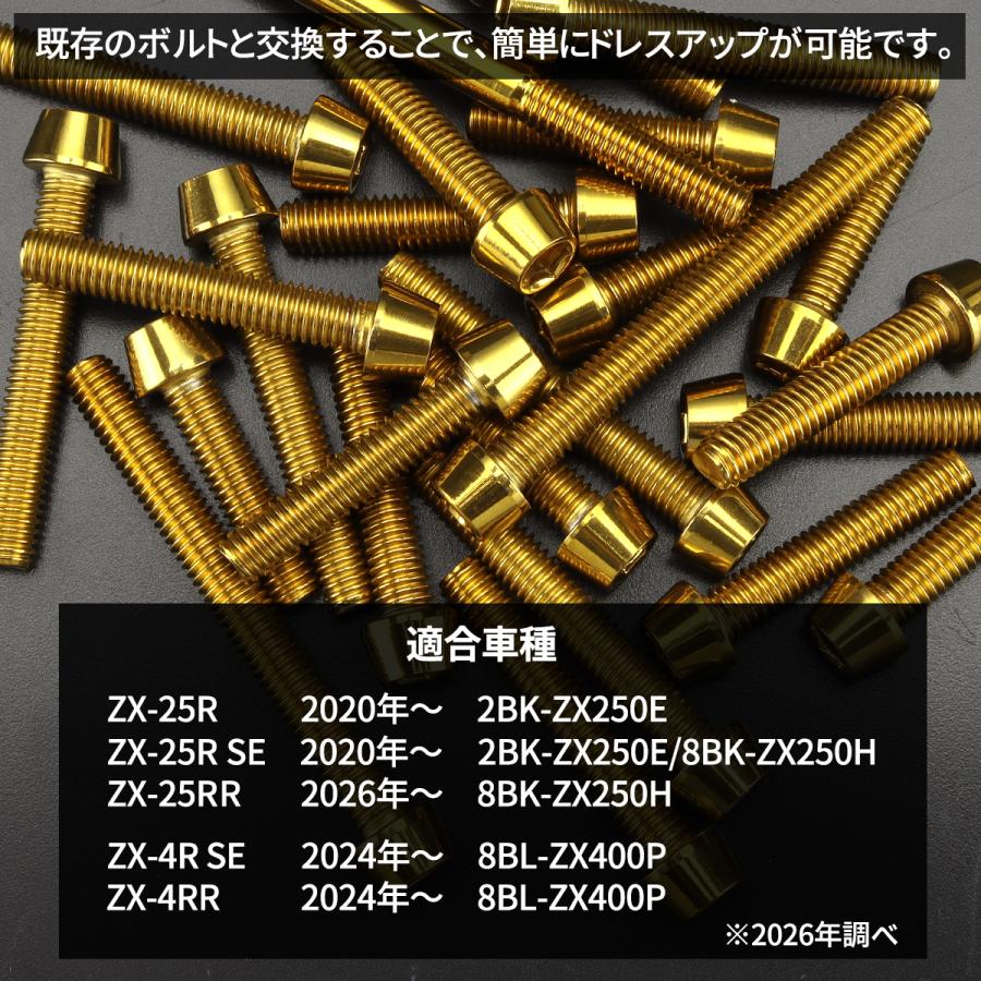 たむー TECHーMASTER（テックマスター） ニンジャ ZX-25R/4R Ninja エンジン