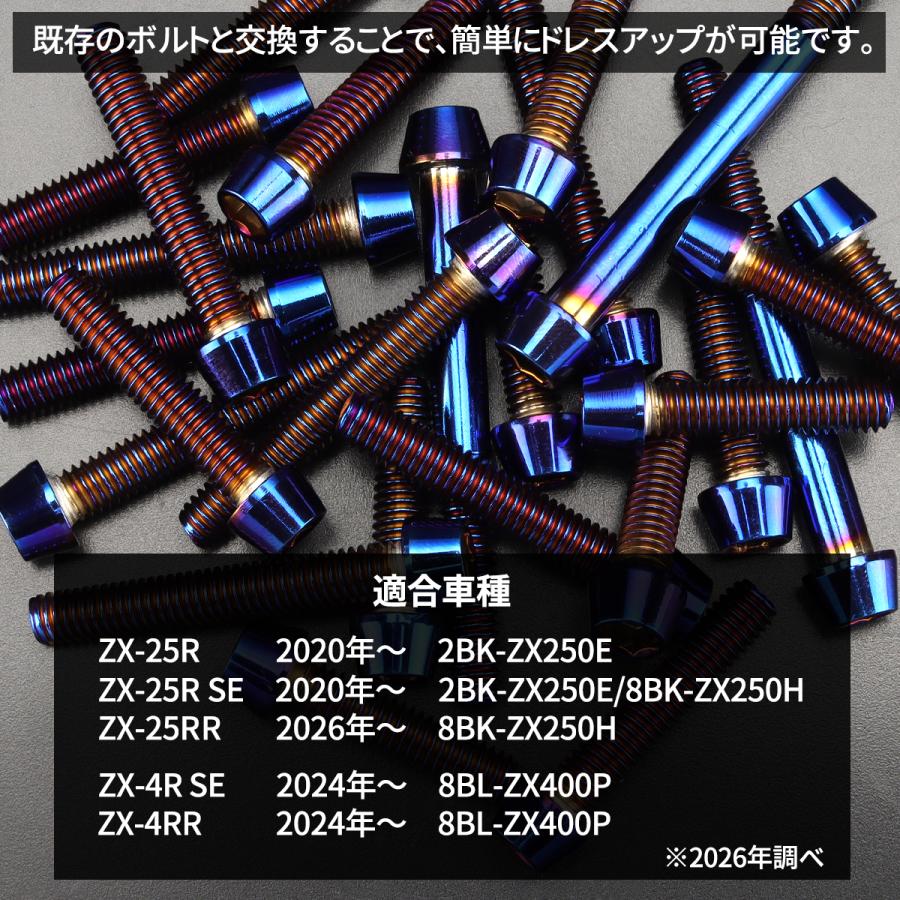 カワサキ（Kawasaki） ニンジャ ZX-25R/4R Ninja エンジンカバー