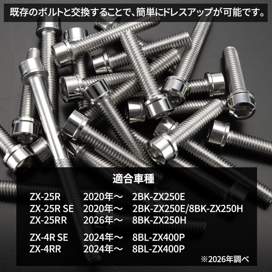 カワサキ ニンジャ ZX-25R/4R Ninja エンジンカバー クランクケース