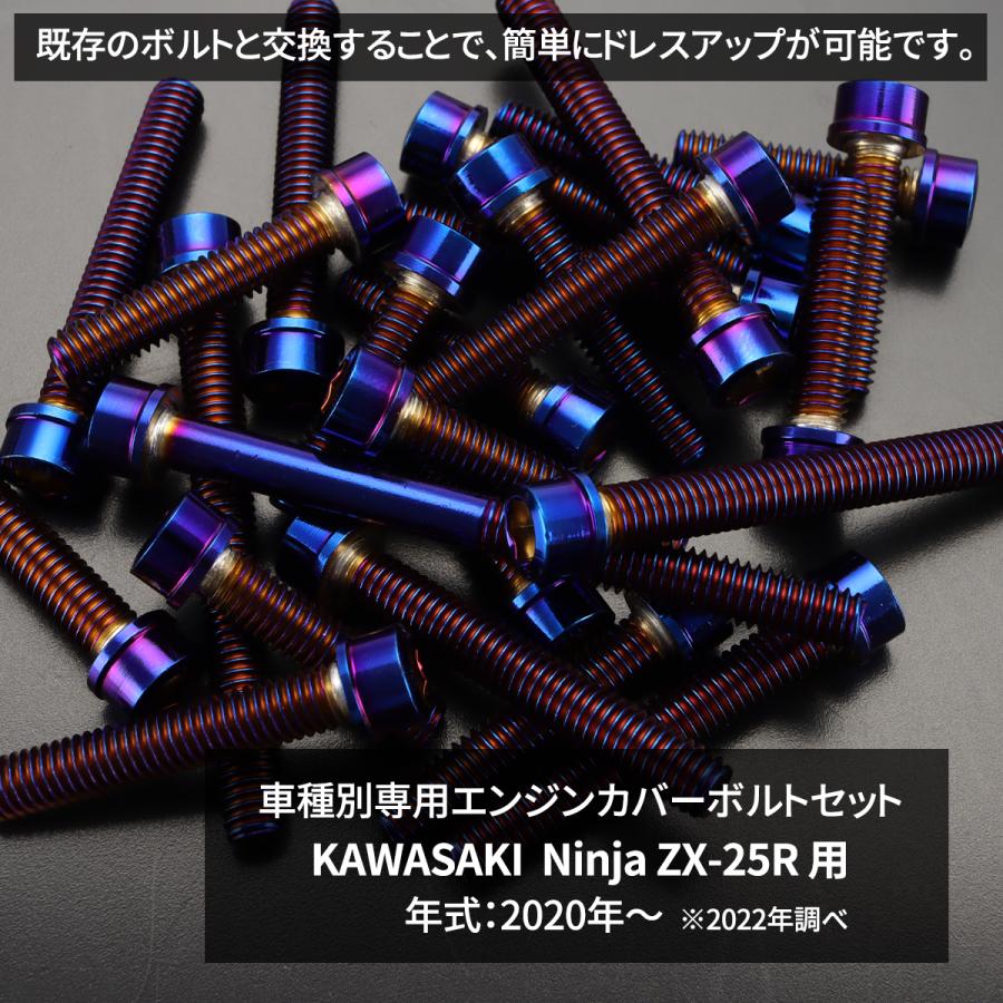 カワサキ ニンジャ ZX-25R/SE Ninja エンジンカバー クランク