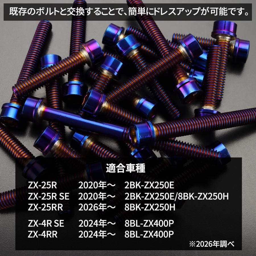 カワサキ ニンジャ ZX-25R/4R Ninja エンジンカバー クランクケース