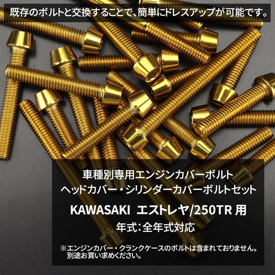 エストレヤ 250TR エンジンヘッドカバー シリンダーヘッドカバー ボルト 9本セット ステンレス製 ゴールドカラー TB8459 | TECHーMASTER | 01